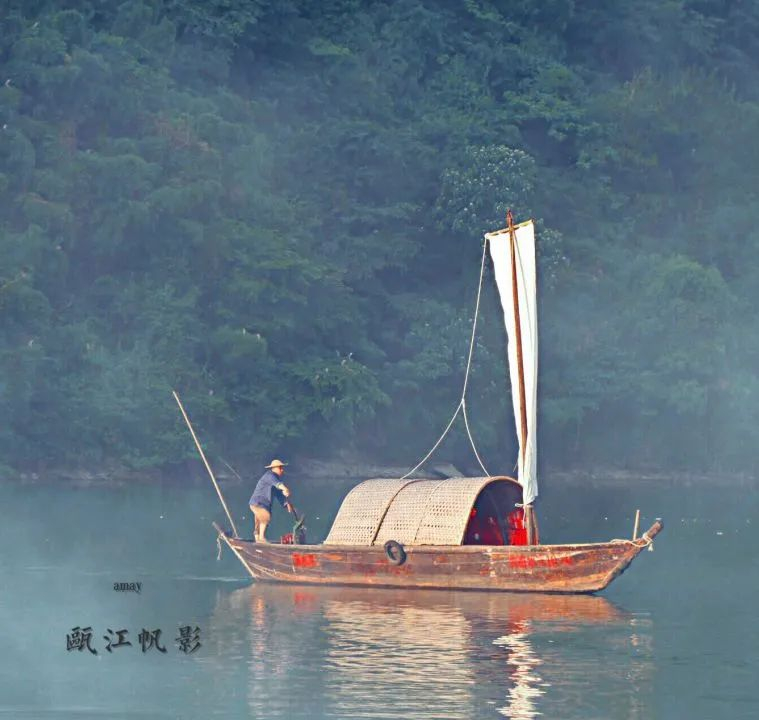 云雾奇观,自然云雾奇观