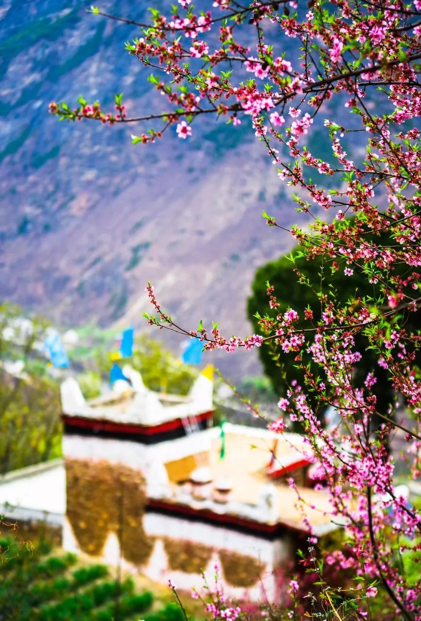 别在年轻的时候去四川！因为你的余生，都将沉醉在她的魅力里