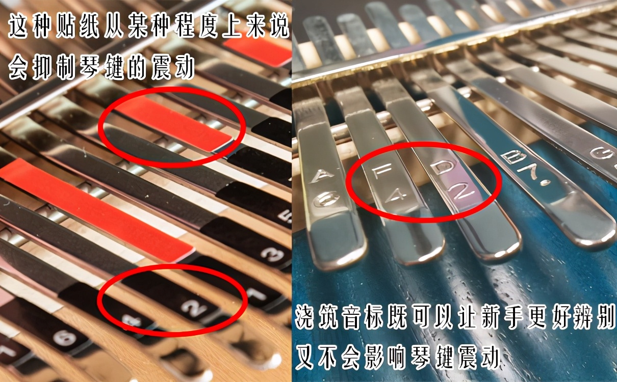 最适合夏天的清新文艺小乐器！果然非它莫属