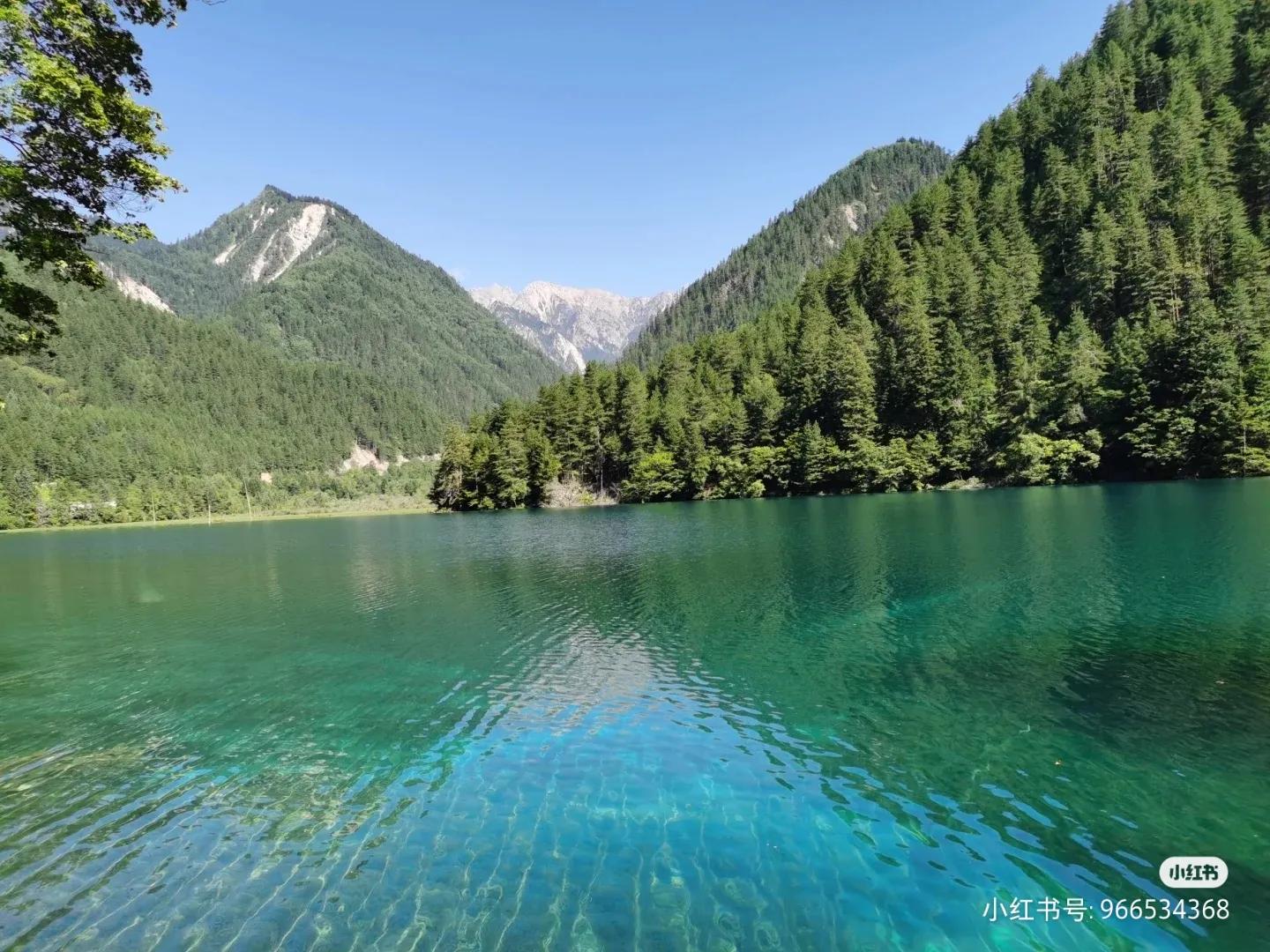 自驾西安九寨沟甘南,西安青木川九寨沟自驾