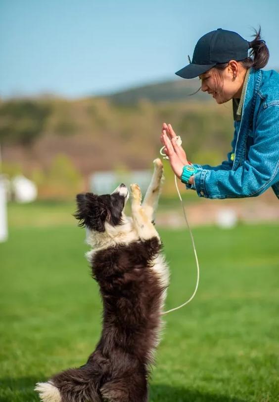2023年三寰牧场最新攻略,三寰牧场攻略最新