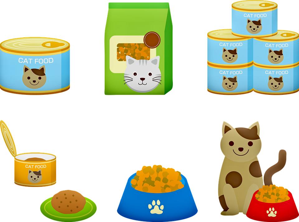 最新进口猫粮推荐,2023进口猫粮哪个品牌好