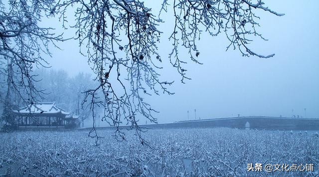 纳兰性德十句最深情的诗句,纳兰性德伤感十首词