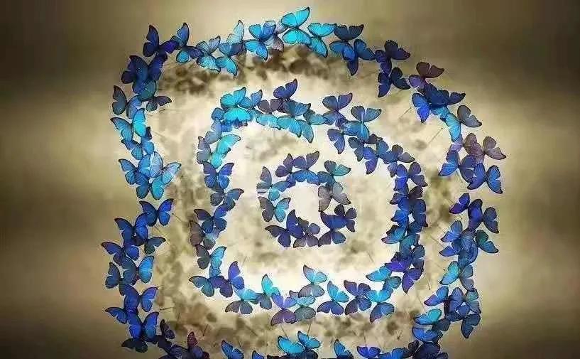 端午节省时省力的游玩攻略,端午去哪玩这份旅游攻略值得收藏