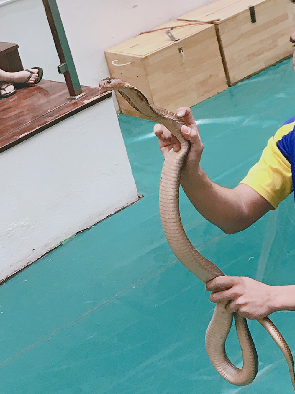 有什么事是你去了泰国才知道的,去了泰国回来就变样了