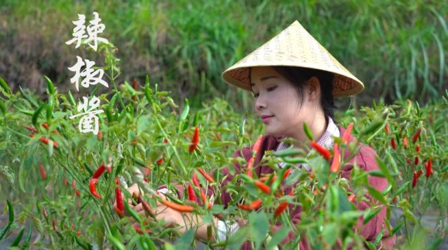 “阿盆姐”让世界迷上了云南，来认识一下这位90后云南妹子的生活