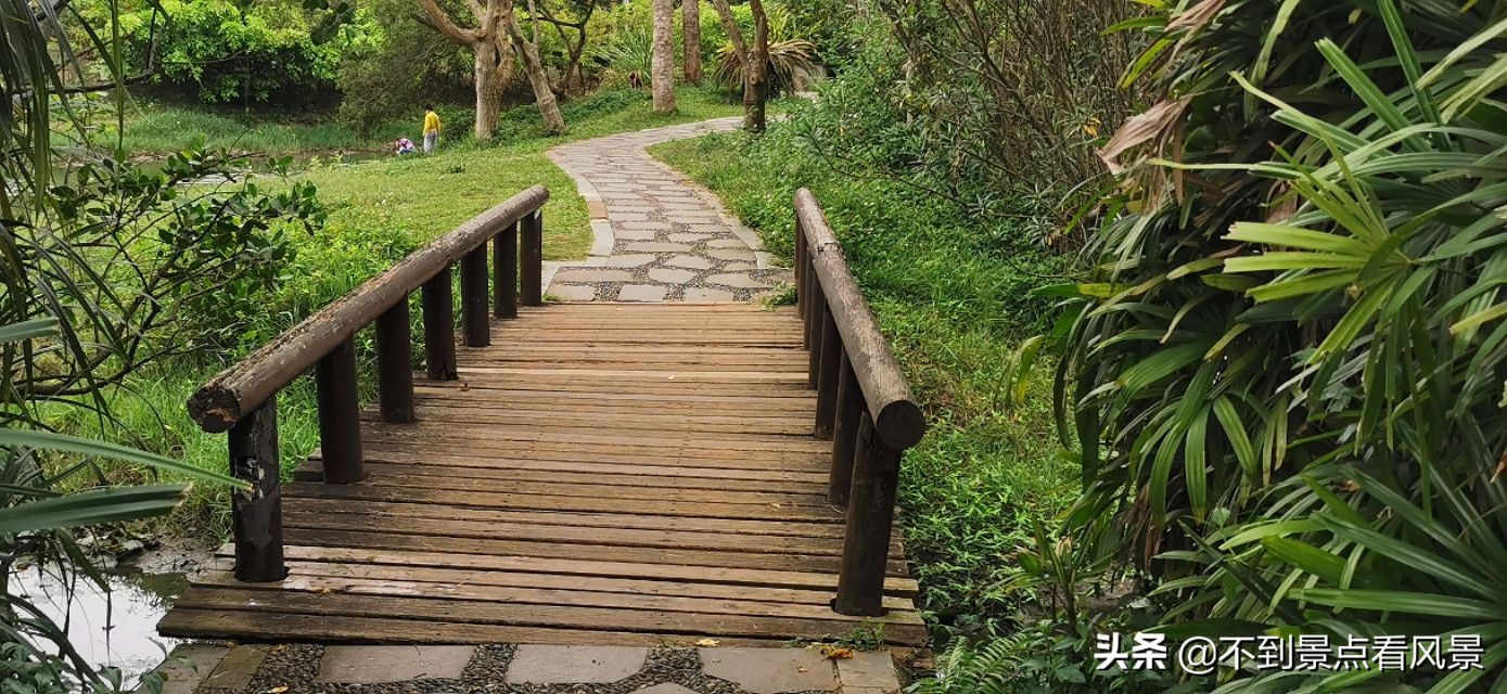 海口海甸岛白沙门公园夜景,海口旅游景点白沙门