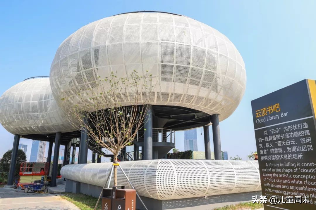 深圳中心公园足球场,深圳中心公园大草坪