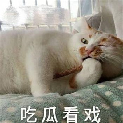 表情包八卦吃瓜群众必备表情合集,吃瓜群众表情包韩国大妈