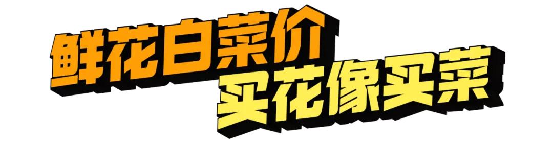 花卉市场晚上营业,今天的花卉市场