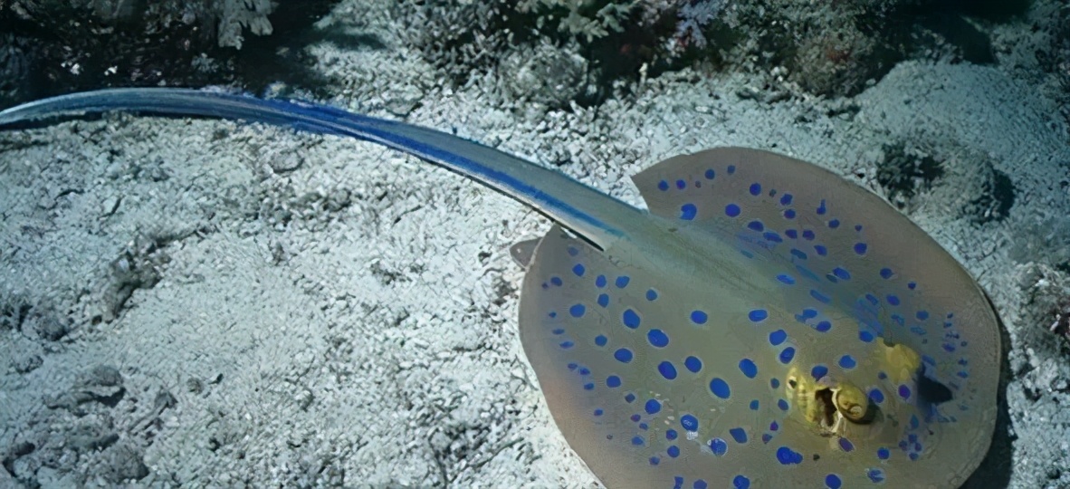 电是怎么产生的过程图片,现在用的电是怎么产生的
