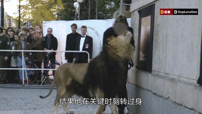 遇到猛兽如何自救100字,面对大型猛兽如何自救