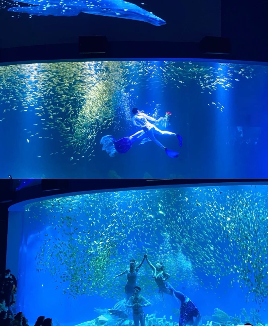 合肥周边亲子网红度假山庄,合肥适合亲子旅游的地方