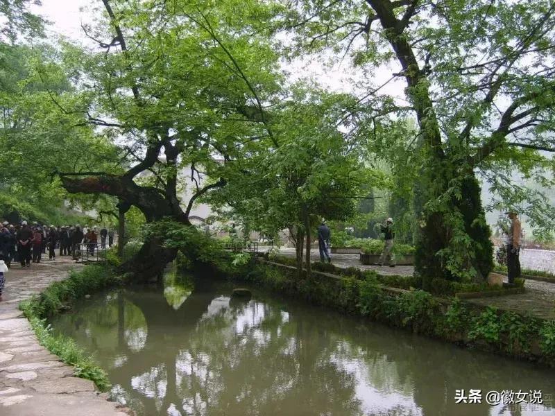 安徽颜值爆表的“姑娘”,她叫铜陵