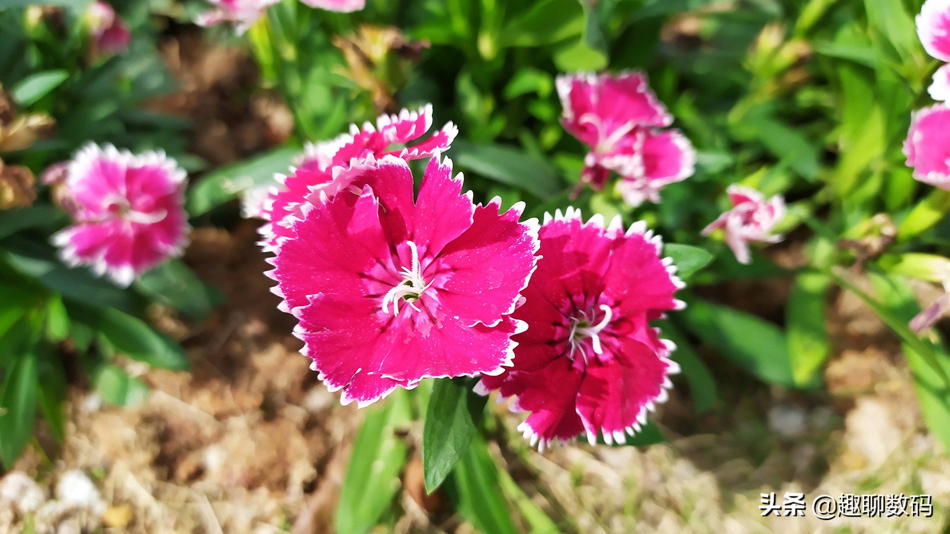 红米note7详细测评,红米Note7图文评测