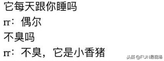 井柏然抖音小猪,井柏然给白敬亭送小猪佩奇
