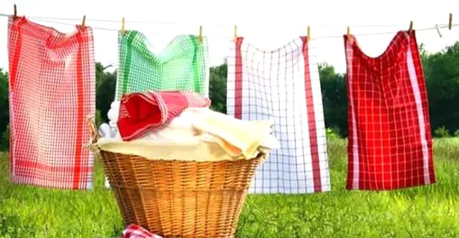 三种以上细菌混合生长,三大细菌