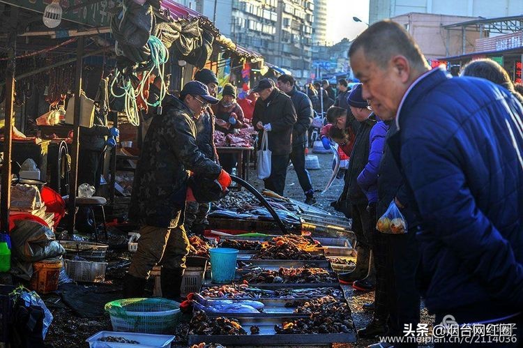 烟台莱阳海鲜早市,烟台老红利市场早市
