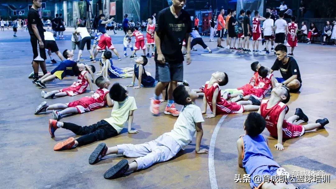 打篮球前准备事项,育成鸡注意事项