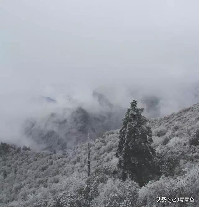 成都周边爬山的好地方人少免费,大年初一成都周边登山游一日游