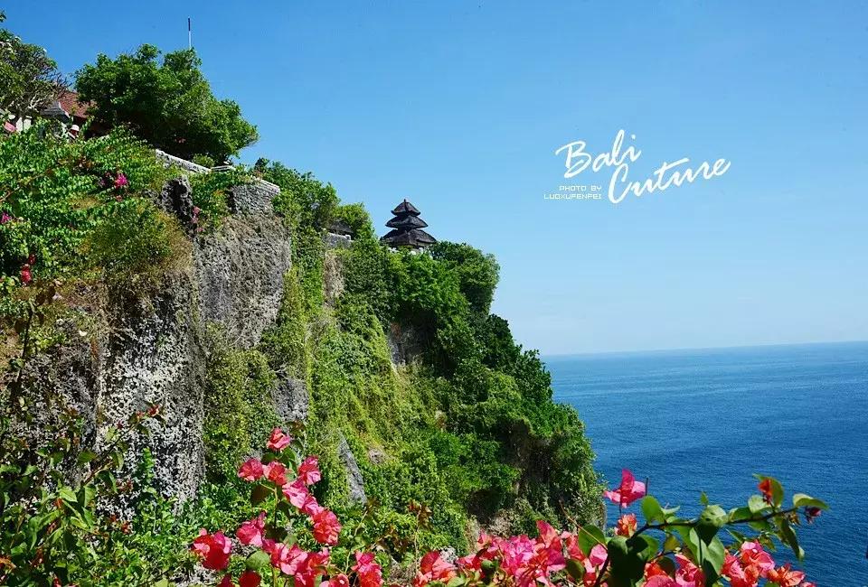 999玩转巴厘究竟嗨不嗨:香遇巴厘,南太平洋的风与海