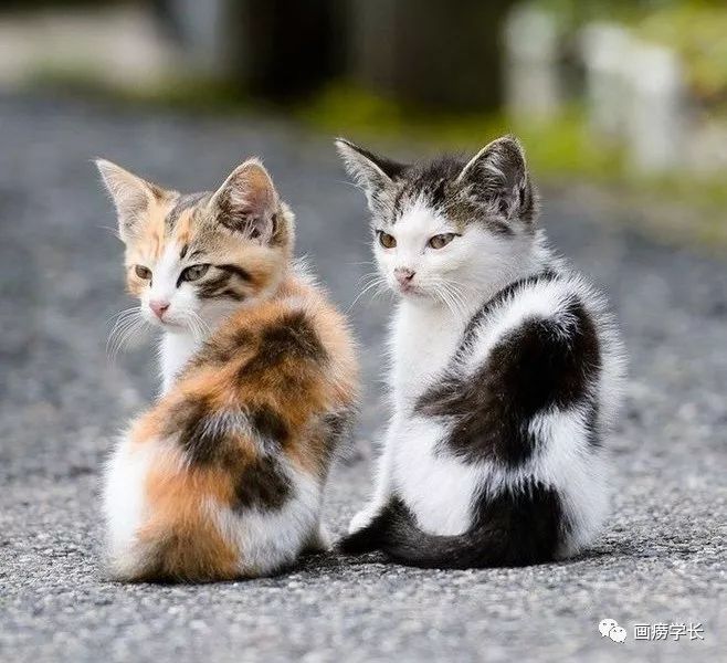 大学摄影专业值得学吗,在美院上学是什么体验