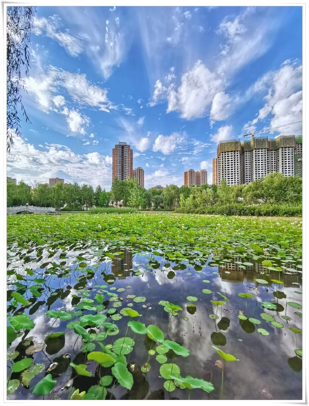 潏河到底怎么读,潏河如何读