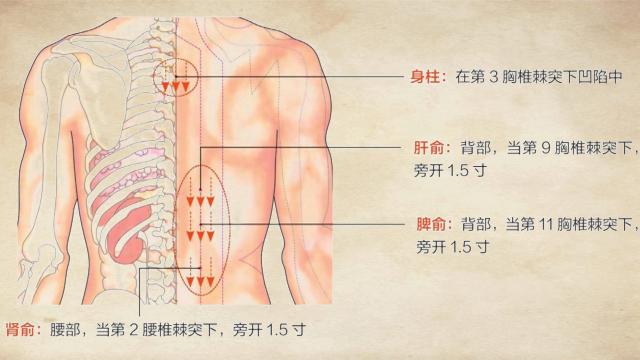 名医讲腰椎间盘突出锻炼方法,腰椎间盘突出科学康复