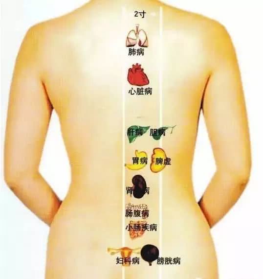 五脏六腑阴阳五行相生相克的关系,中医详解五脏六腑相生相克的关系