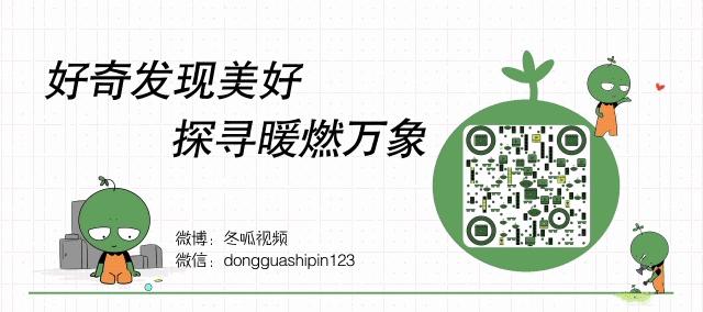 北美王思聪：《大黄蜂》不成功的话，就要回家继承百亿资产了
