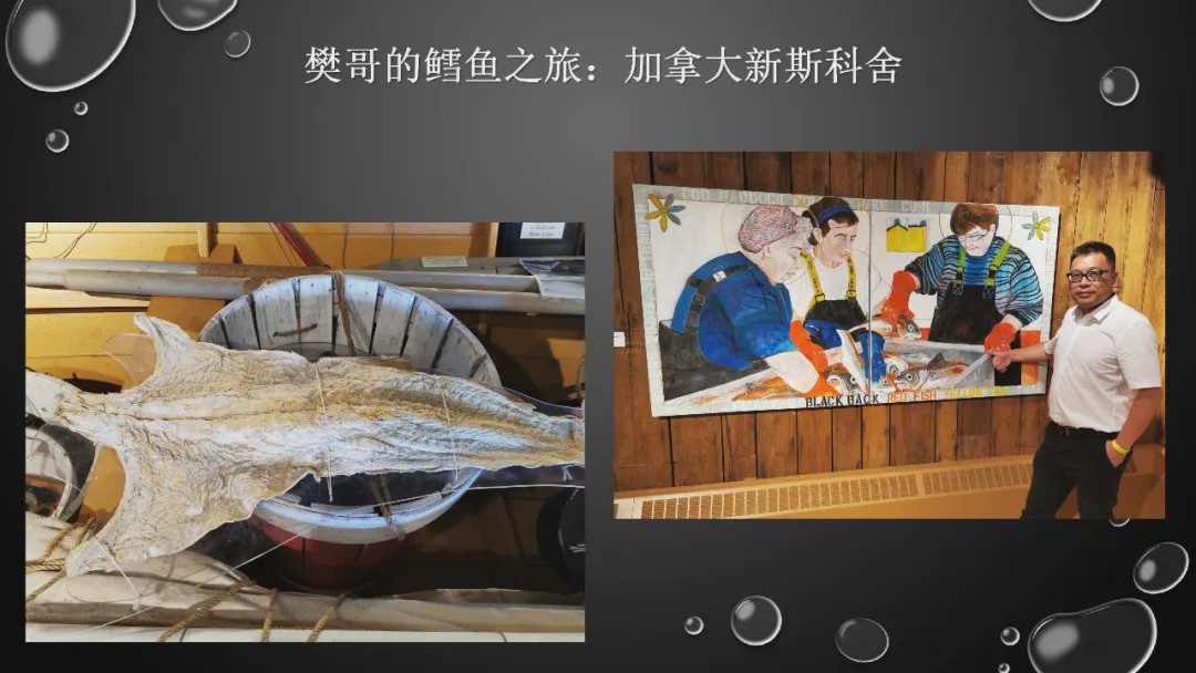 樊哥说中国美食,樊哥讲冰鲜生鲜