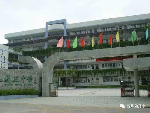 深圳好的双语小学,深圳2023优质小学校排名
