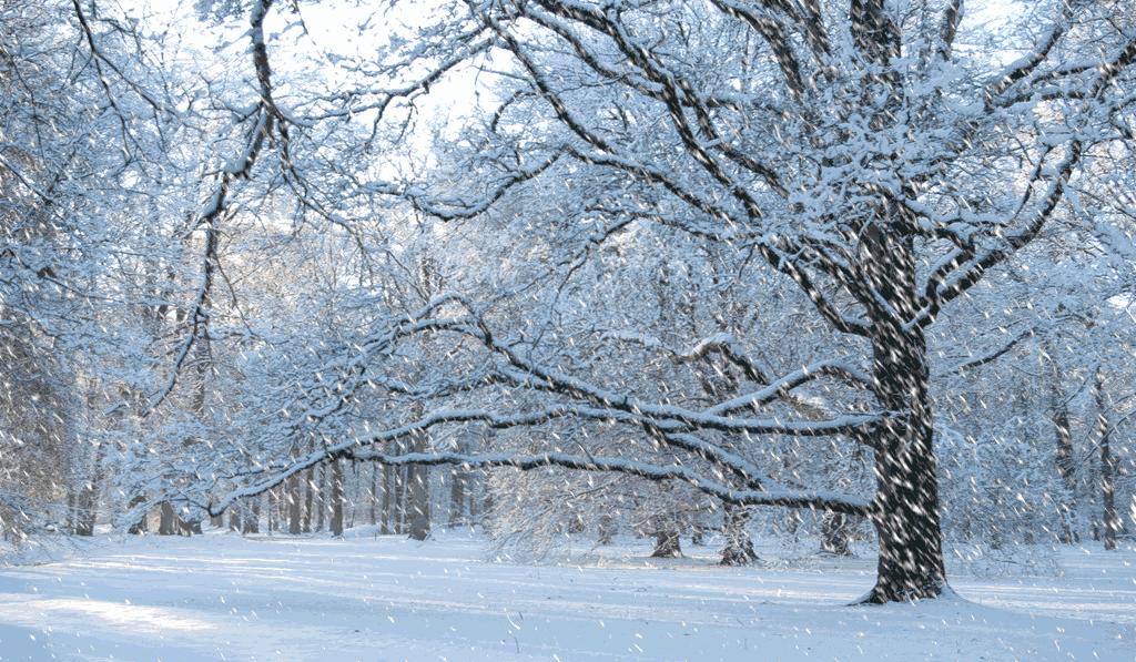 陈宝璐散文人生风景在路上,陈宝璐散文作家照片