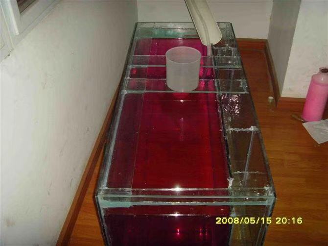 渔友张哥小视频,新鱼缸养锦鲤鱼正确的方法和技巧