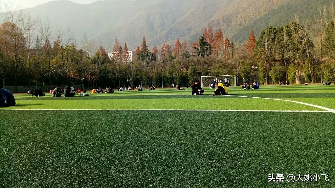 我的大学,我的大学简介视频