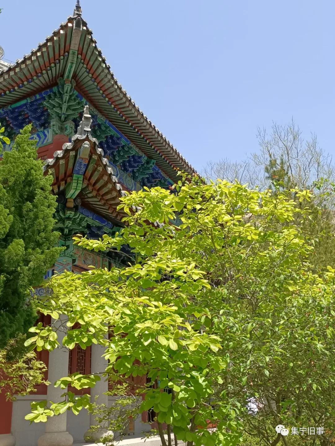 青岛旅行团跟团游四天三晚,青岛去北京两日游