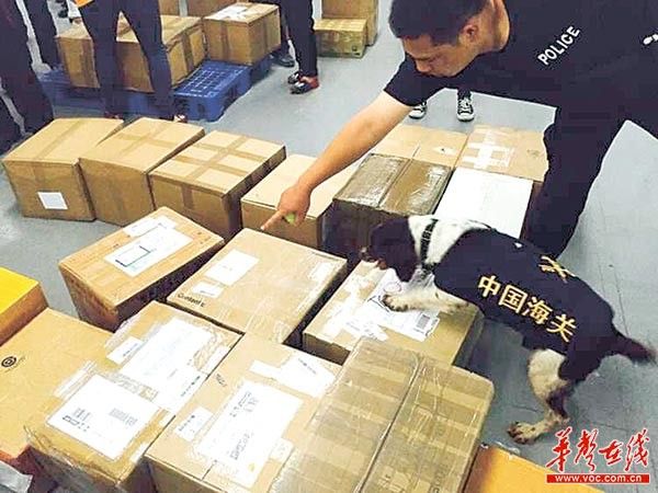 广东海关公务员报考条件,进入海关单位需要考公务员吗