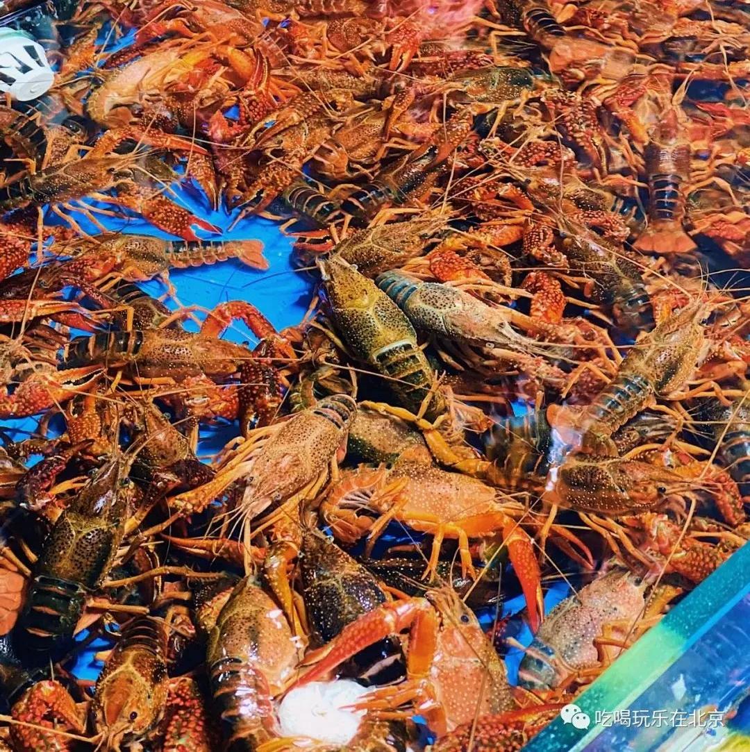 朝阳区海鲜市场,北京朝阳区海鲜市场