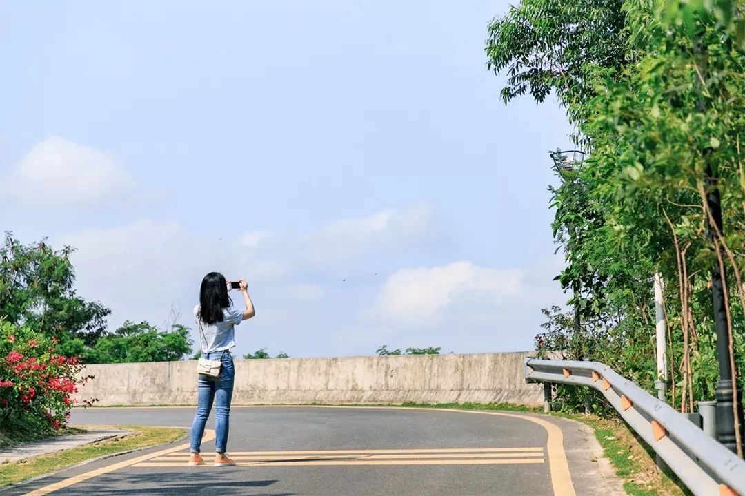 去深圳免费游玩的10个地方,深圳免费游玩景点推荐