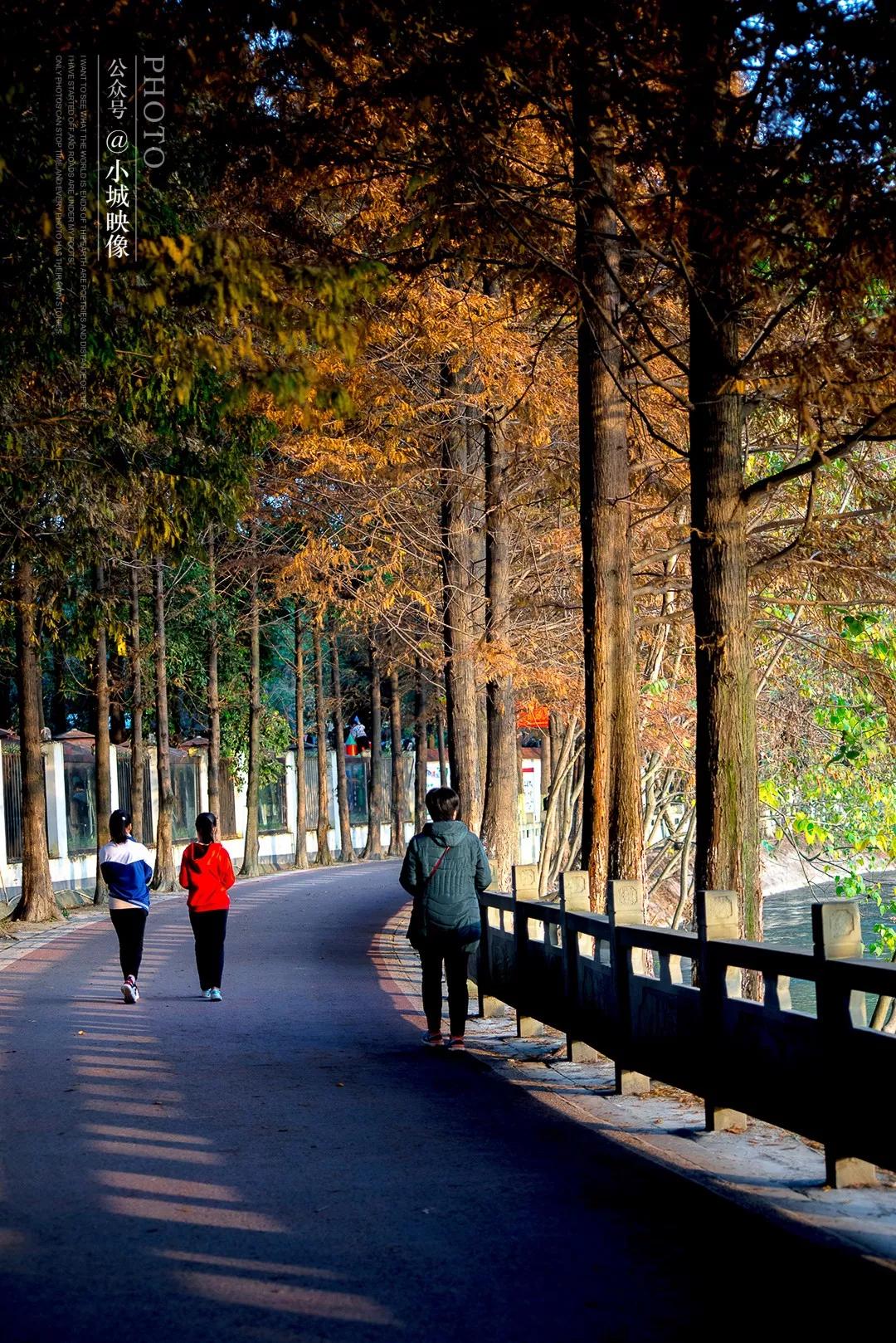 郫县是怎么发展起来的,郫县区为什么这么出名