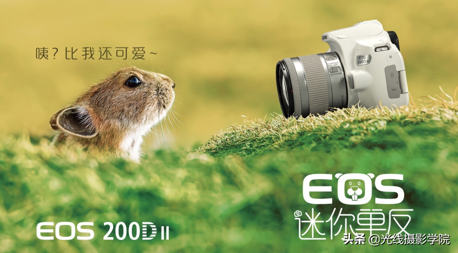 佳能5d5代相机估计啥时发布,2021年佳能5d还值得买吗