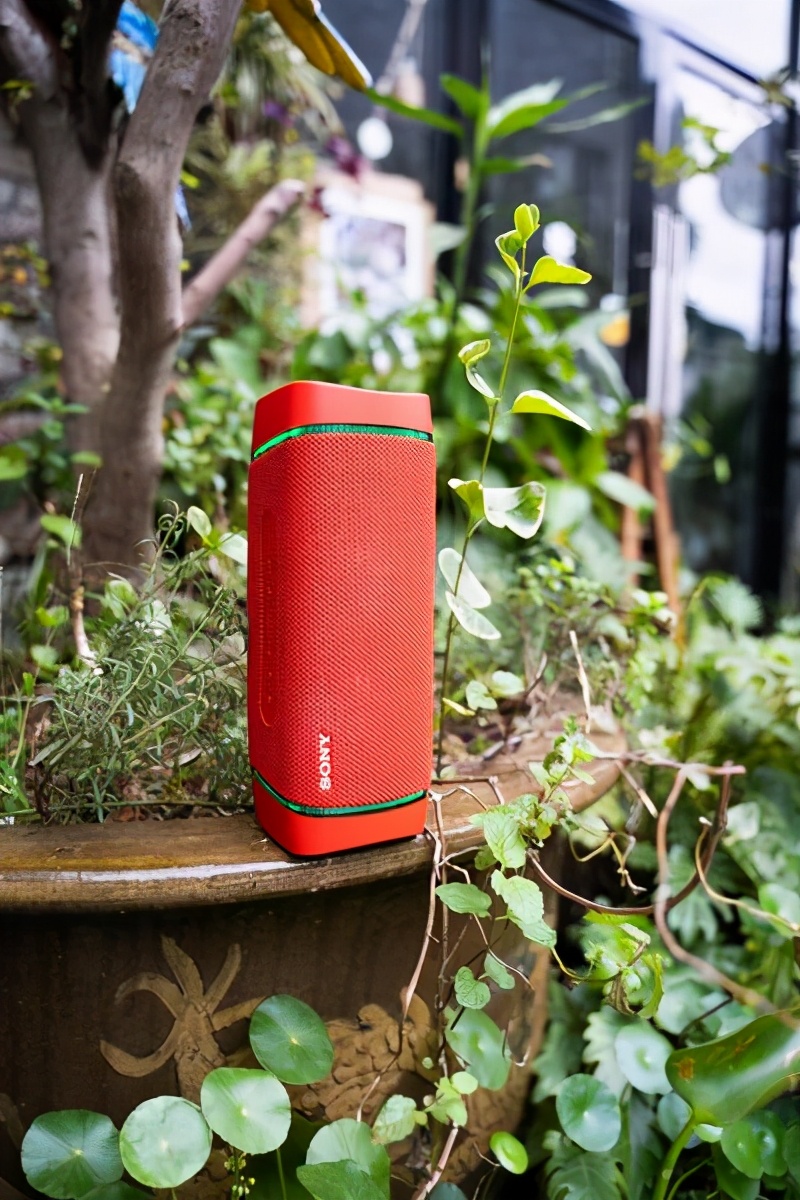 索尼srs-xb33和bosemini哪个好,索尼srs-xb33和xb43区别