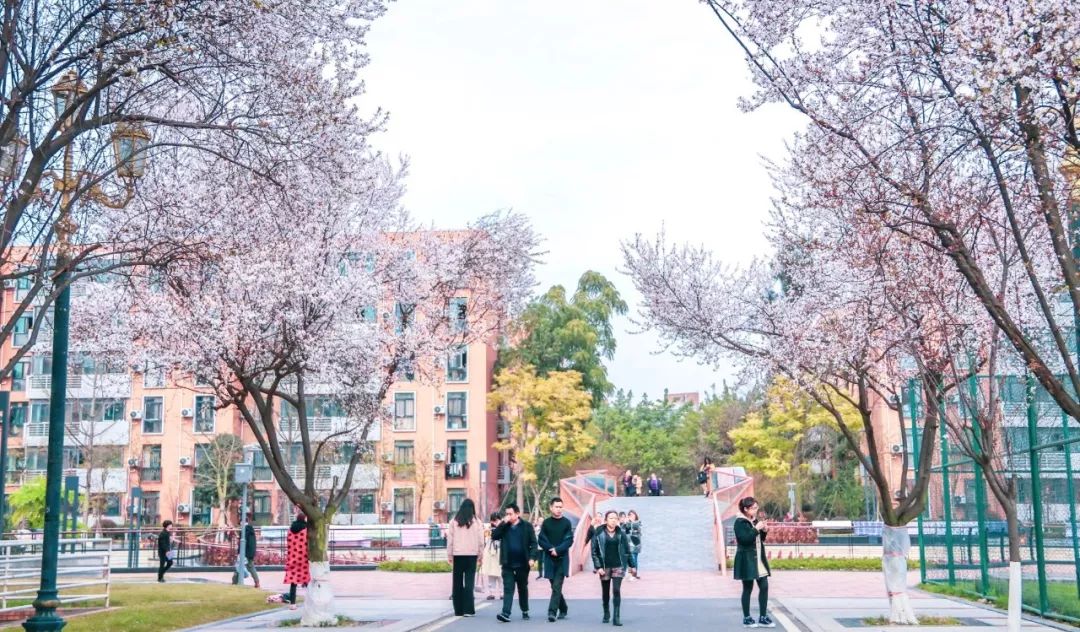 西南民大值得去读吗,西南民大是什么级别