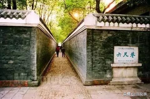 最新安徽61县市经济实力排行榜!临泉排名前列!