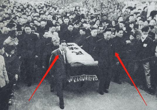 鲁迅为什么和弟媳反目,鲁迅与弟媳有什么关系