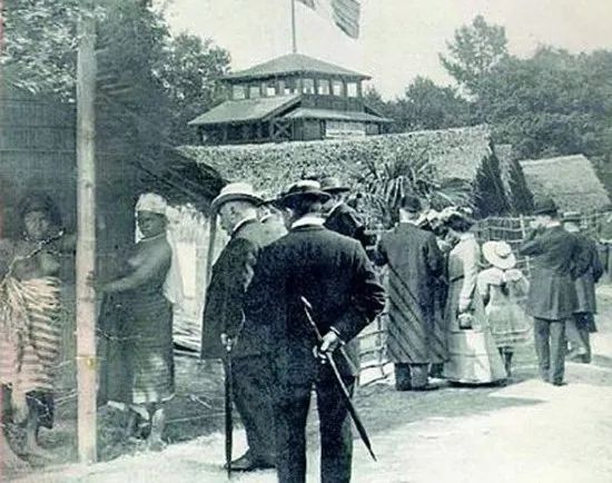 人类观光动物园,人类去动物园的迷惑行为