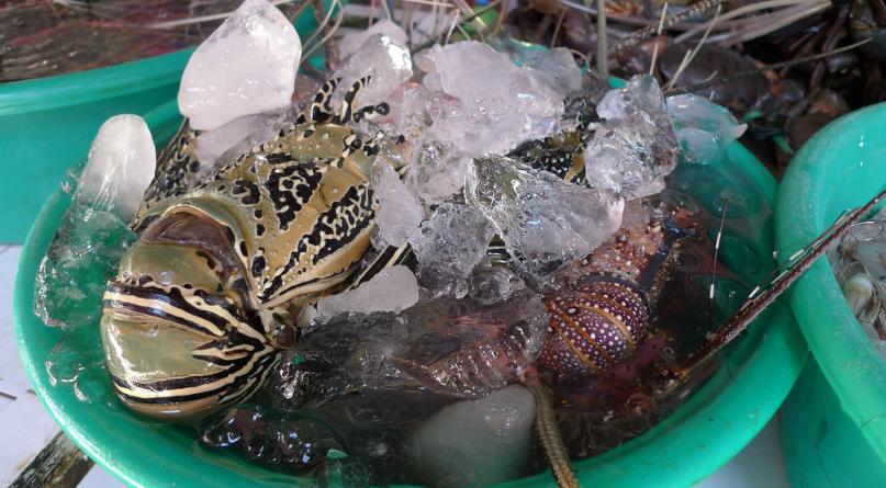 普吉巴厘塞班岛,普吉岛一个充满异域风情的海岛