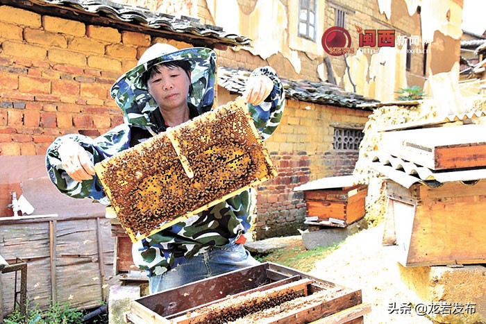 携手脱贫路共圆小康梦