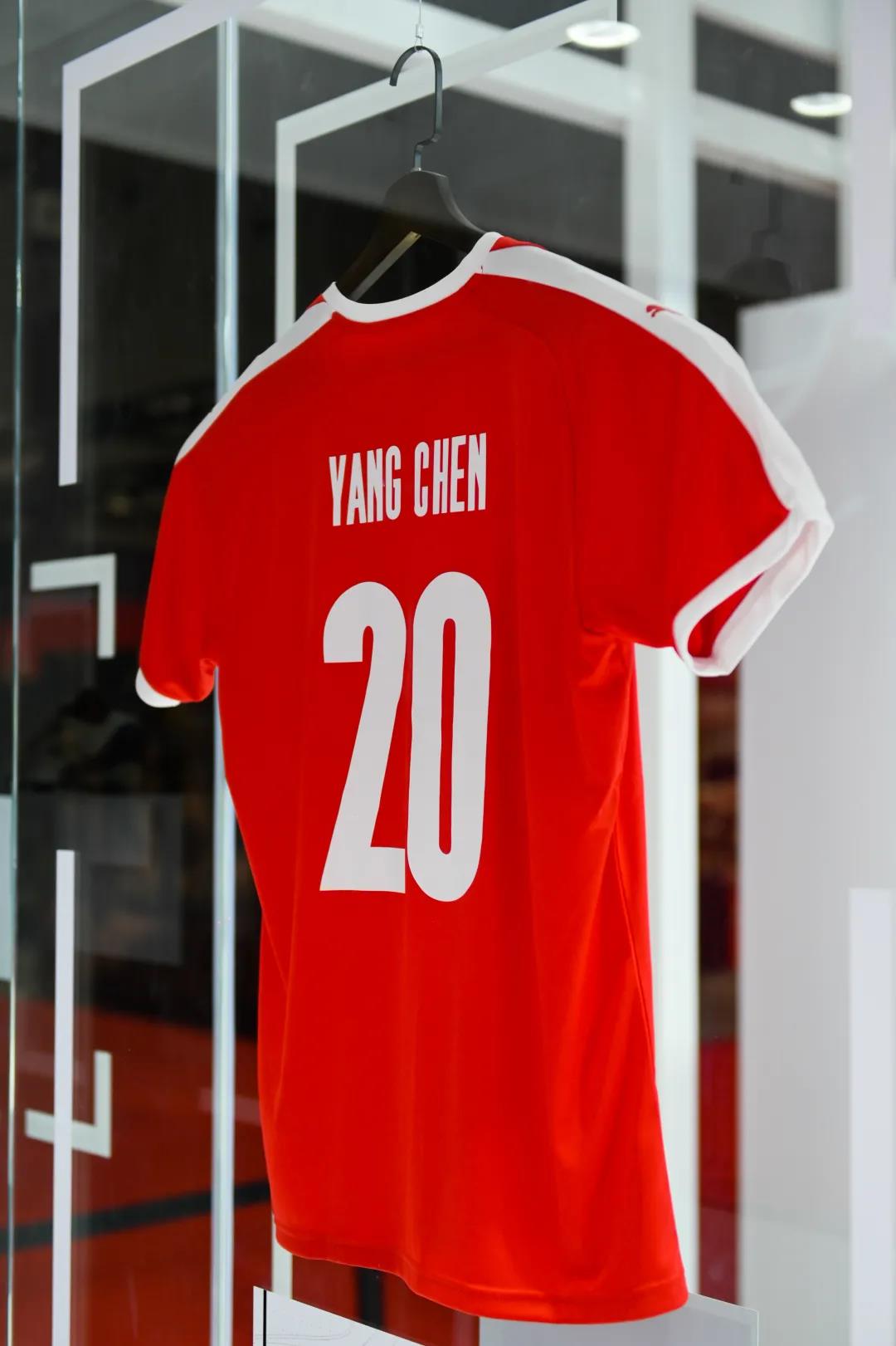 杨晨履历,杨晨与范志毅