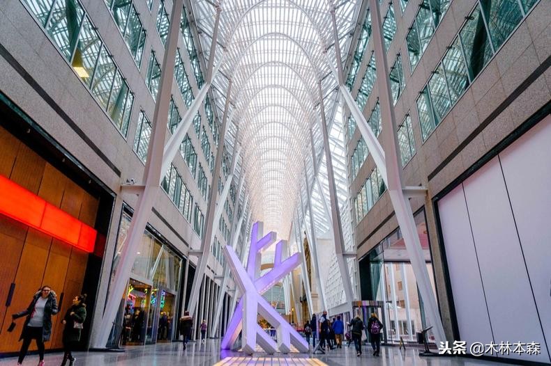 加拿大多伦多生活日记,加拿大多伦多留学生活纪实